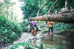 BIB: 
                            <button type="button" onclick="openModal(25443490)" class="btn btn-primary btn-sm float-right btn-popup" data-toggle="modal" data-target=".modal-high-quality">
                        <i class="fas fa-shopping-cart"></i> Add to Cart
                    </button>
                                            <button type="button" onclick="isThisMe(25443490, true)" class="btn btn-success btn-sm float-right btn-popup btn-isme hidden" data-toggle="tooltip" data-placement="bottom" title="นี่คือรูปของคุณใช่ไหม คลิกที่นี่เพื่อเอาเข้าอัลบั้ม">
                        <i class="fas fa-plus"></i> Add to album
                    </button>
                    <button type="button" onclick="isThisMe(25443490, false)" class="btn btn-warning btn-sm float-right btn-popup btn-isnotme hidden">
                        <i class="fas fa-ban"></i> Remove from album
                    </button>